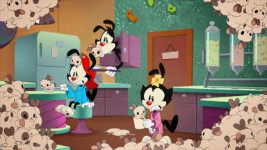 Animaniacs 1x11