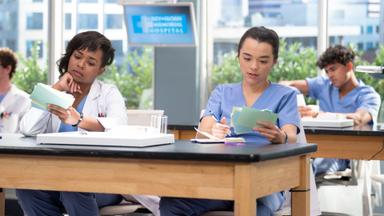 Anatomía según Grey 20x6