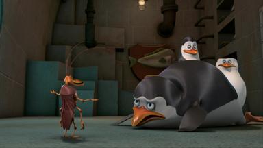 Los Pingüinos de Madagascar 2x12