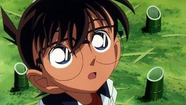 Detective Conan 1x315