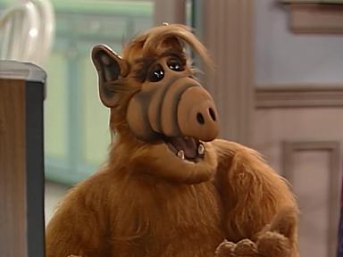 ALF 3x13