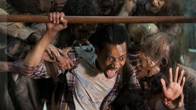 The Walking Dead 5x14