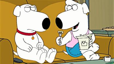 Padre de Familia 3x2