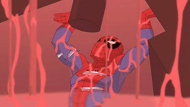 El Espectacular Hombre-Araña 2x4