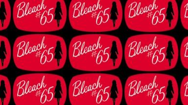 Bleach 1x65