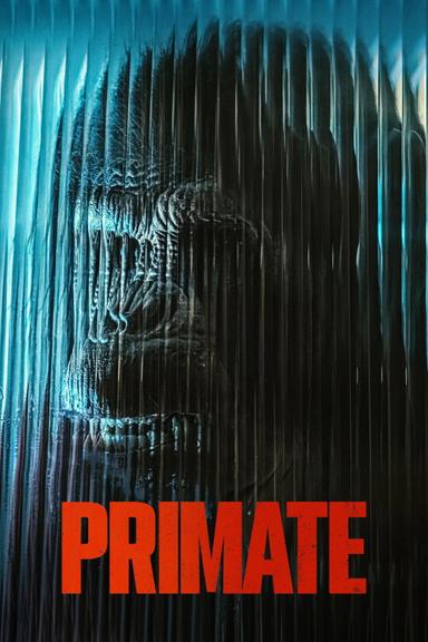 Primate