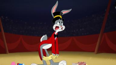 Looney Tunes Cartoons 4x1