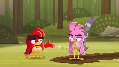 Angry Birds: Locuras de verano 1x9