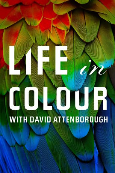 La vida a color con David Attenborough