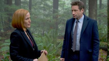 Los Expedientes Secretos X 11x8