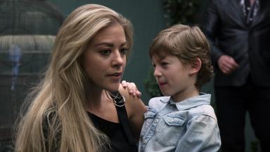 El Señor de los Cielos 5x7