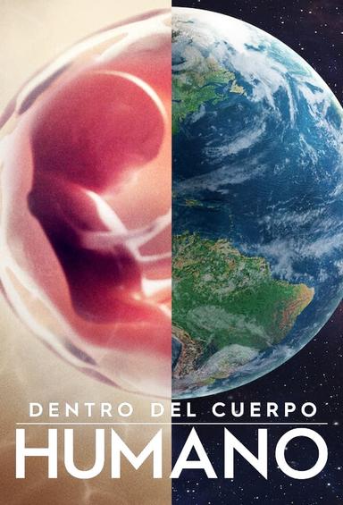 Cuerpo humano: Un mundo entrañable