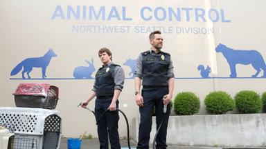 Animal Control 3x7