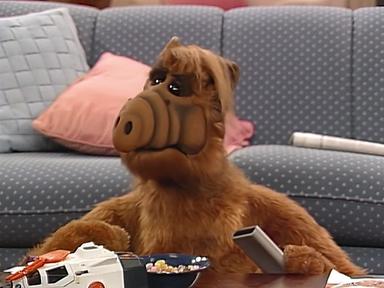 ALF 2x11