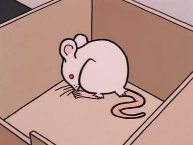 Daria 1x7
