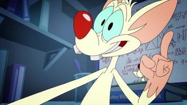 Animaniacs 2x12