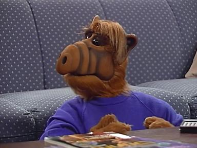 ALF 4x3
