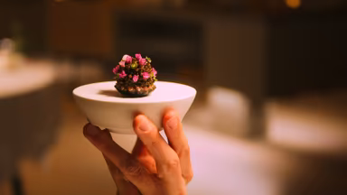 Al filo: Persiguiendo Estrellas Michelin 1x4