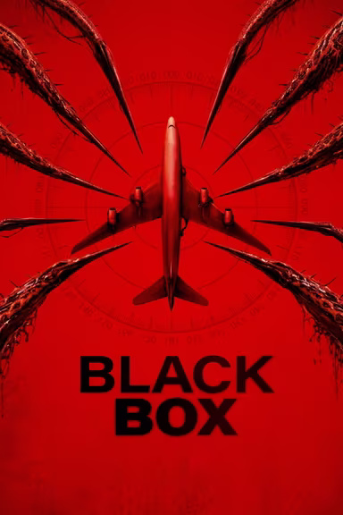 Black Box (Flight 298)