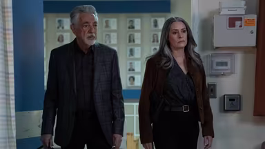 Mentes Criminales 19x1