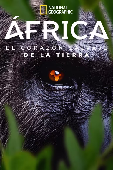 Africa: El corazón de la Tierra